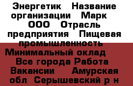 Энергетик › Название организации ­ Марк 4, ООО › Отрасль предприятия ­ Пищевая промышленность › Минимальный оклад ­ 1 - Все города Работа » Вакансии   . Амурская обл.,Серышевский р-н